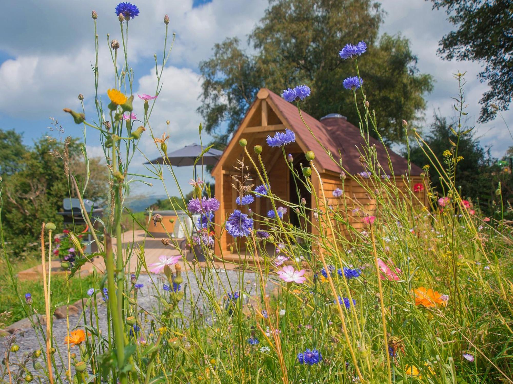 Вилла Dol Y Mynydd The Mountain Meadow-Qu7521 Llangerniew Экстерьер фото