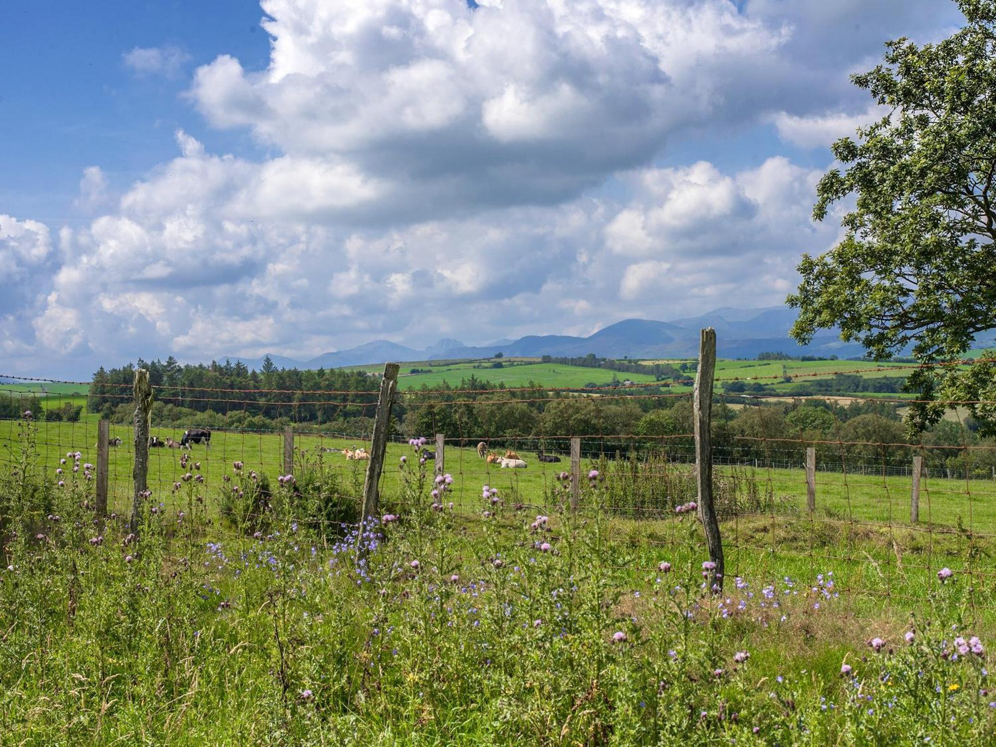 Вилла Dol Y Mynydd The Mountain Meadow-Qu7521 Llangerniew Экстерьер фото